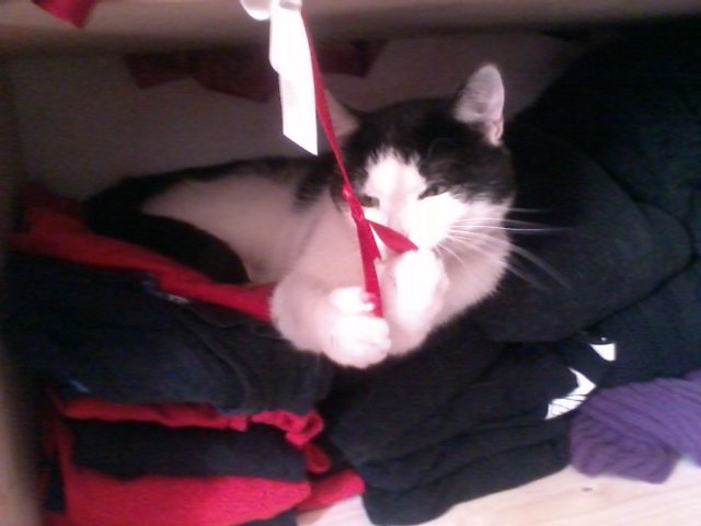 Linus