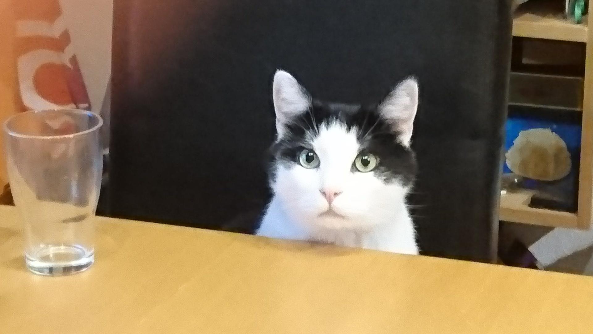 Linus