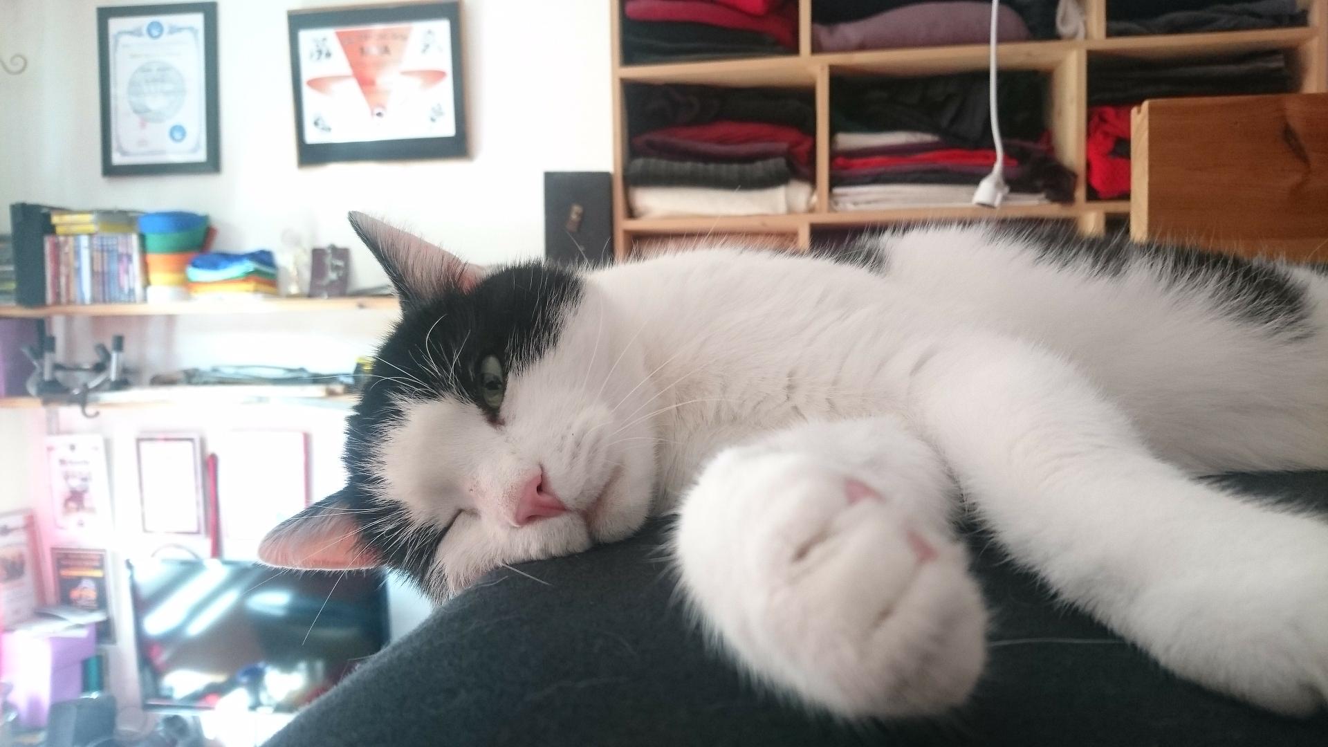 Linus
