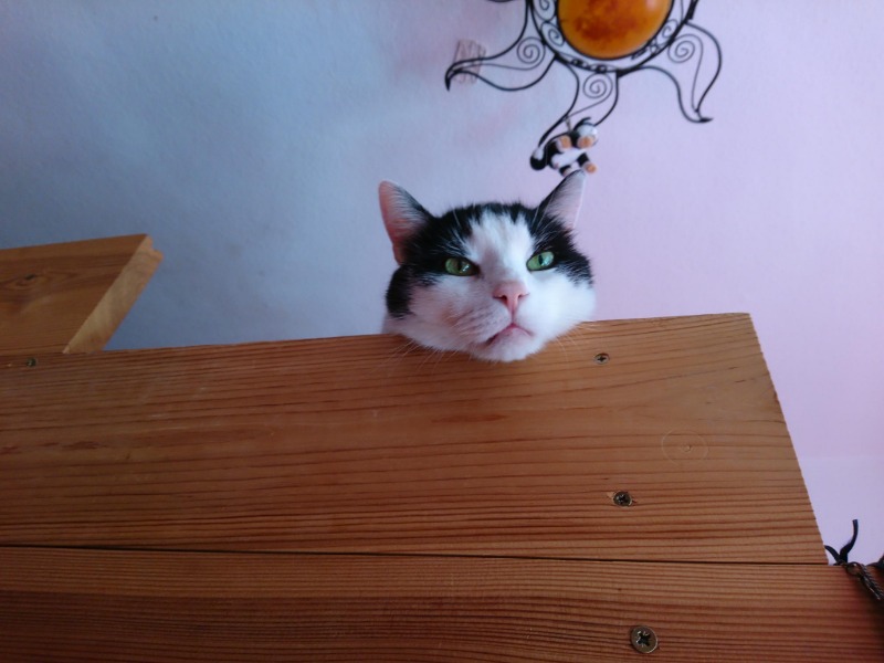 Linus