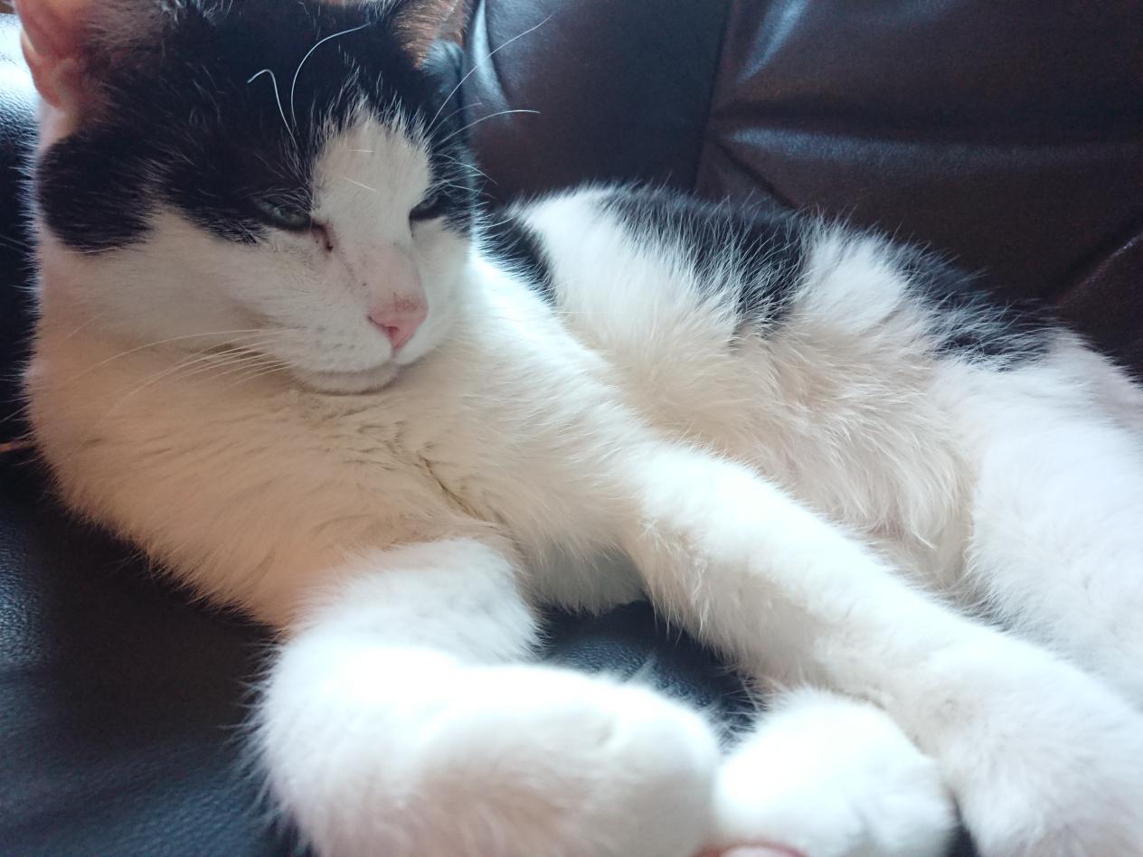 Linus
