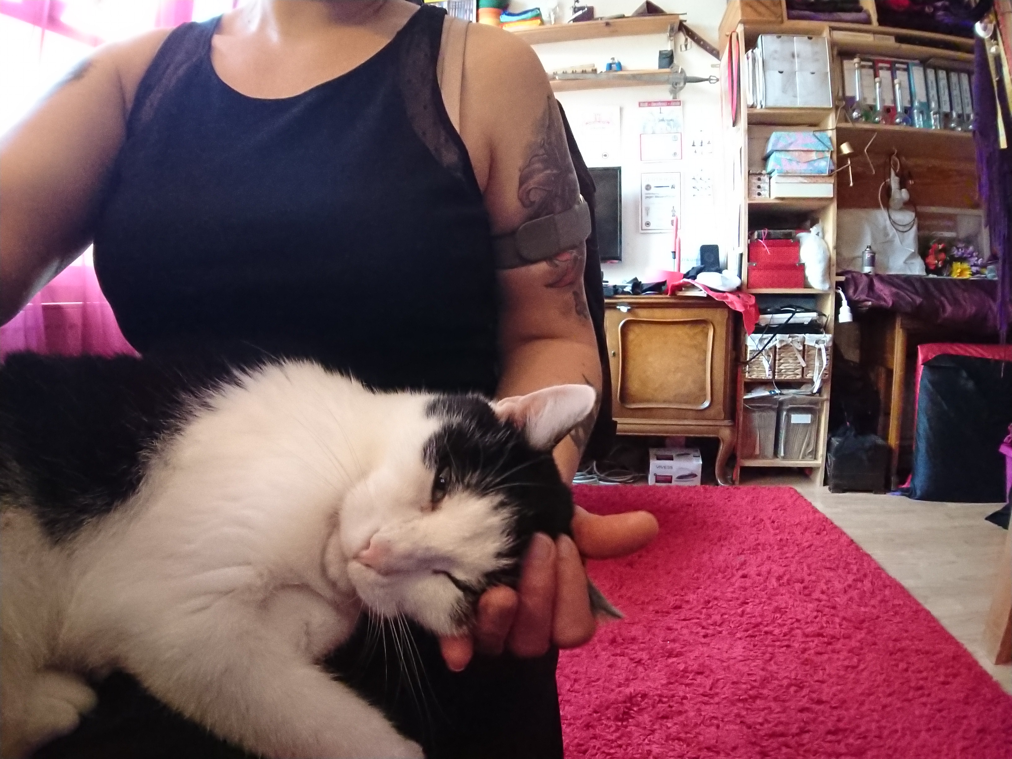 Linus
