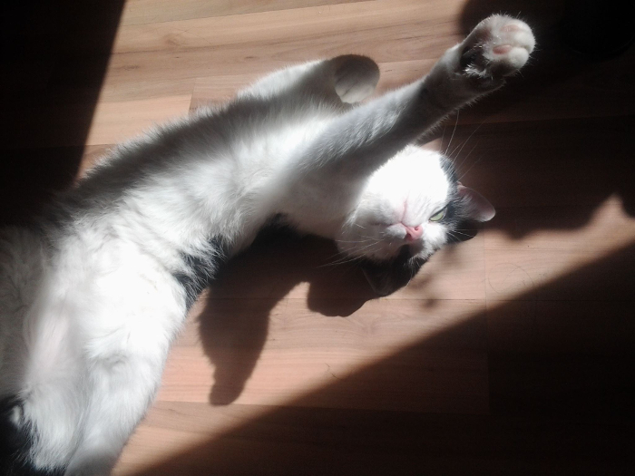 Linus