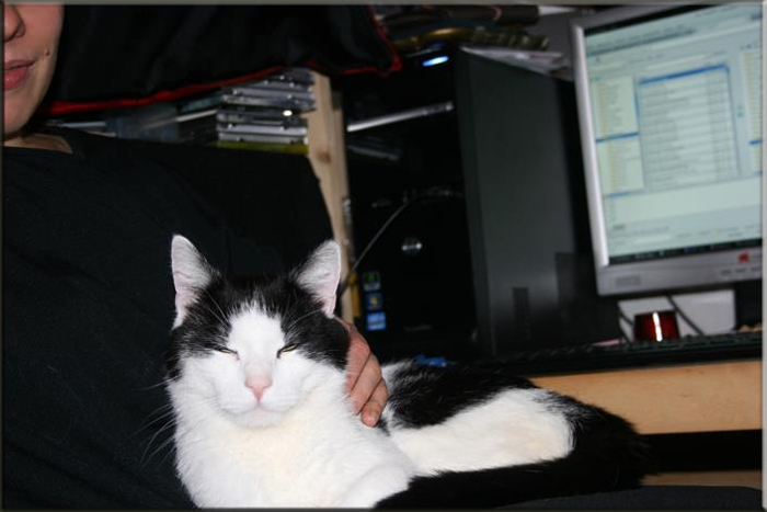 Linus