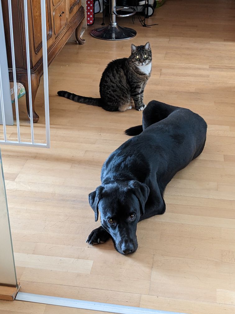 Sudo