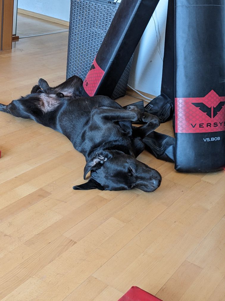 Sudo