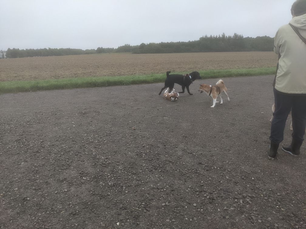 Sudo