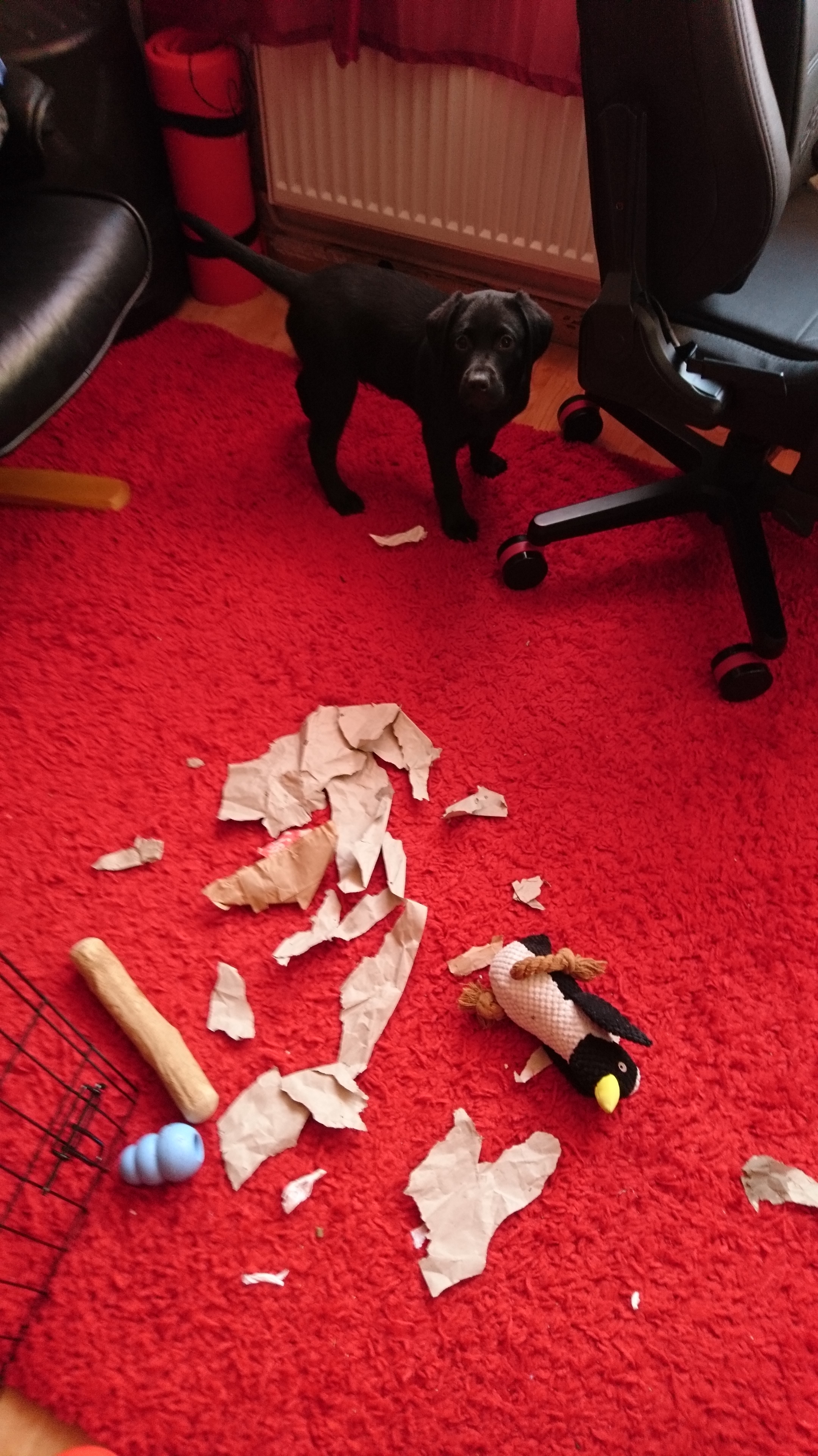 Sudo