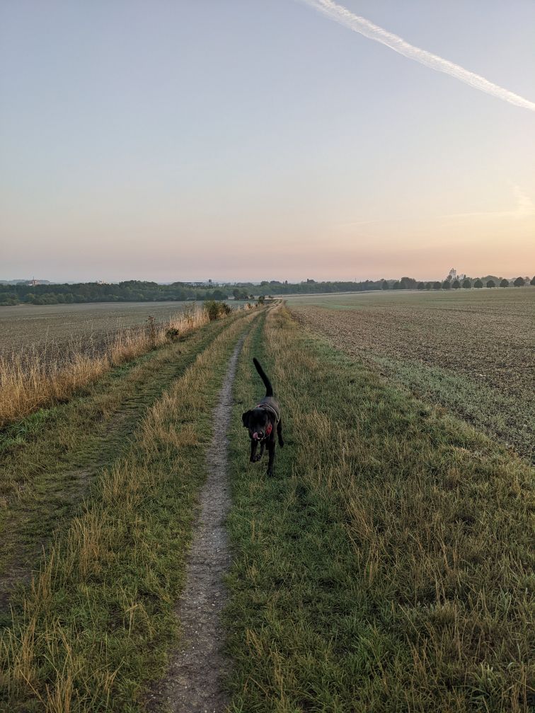 Sudo