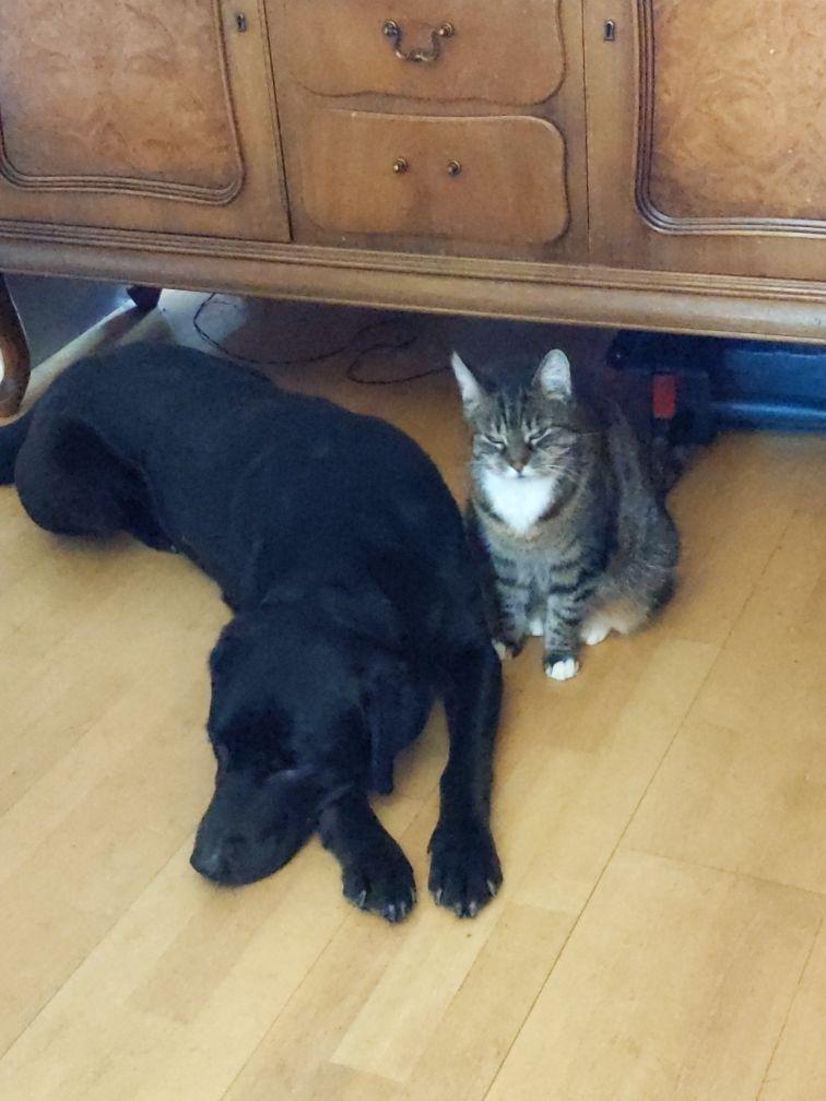 Sudo